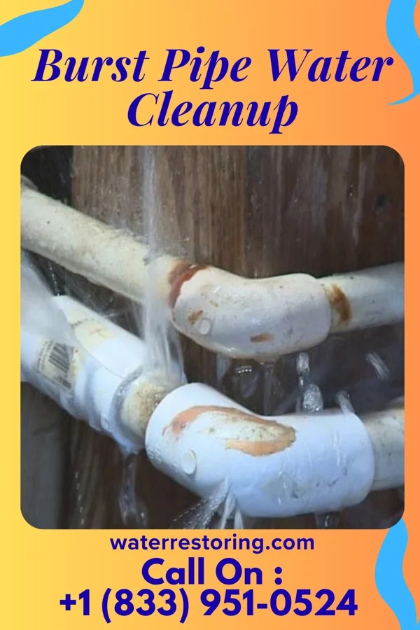 Burst Pipe Water Cleanup in Lake Tansi, TN