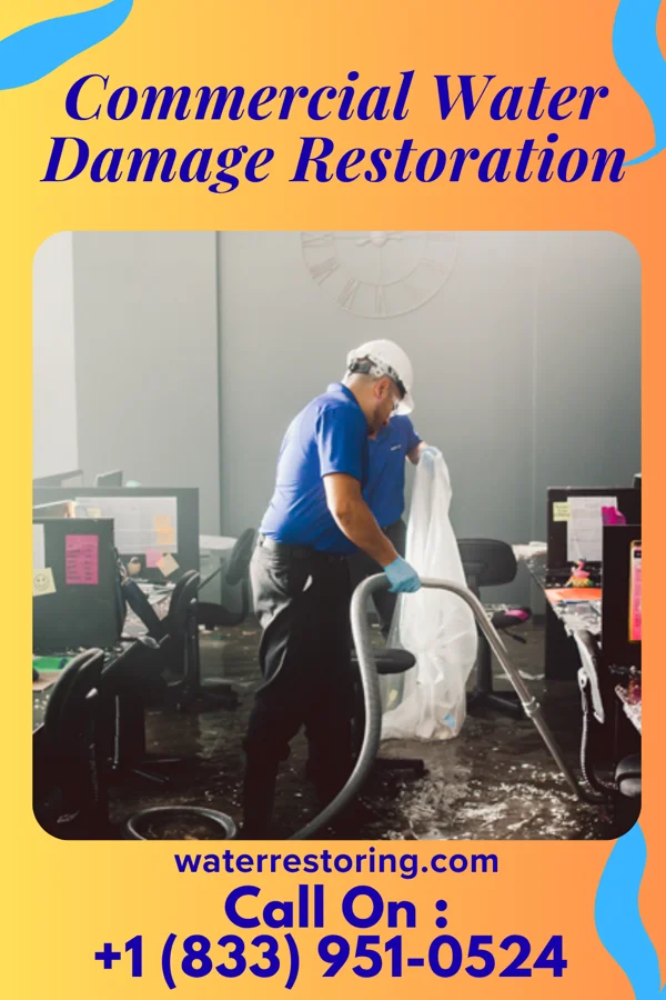 Commercial Water Damage Restoration in Lake Tansi, TN